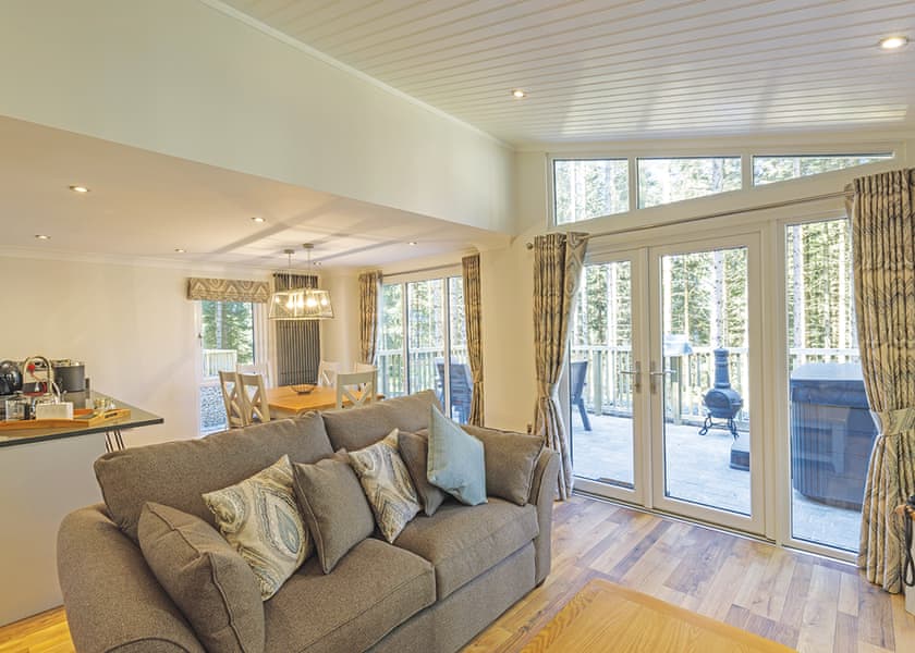 Beech Platinum Stars - Kielder Waterside, Kielder Water and Forest Park