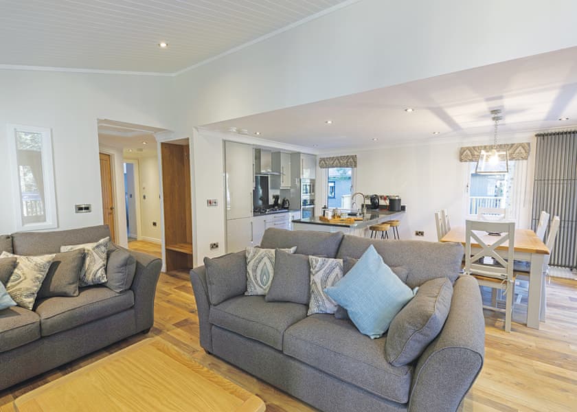 Beech Platinum Stars - Kielder Waterside, Kielder Water and Forest Park