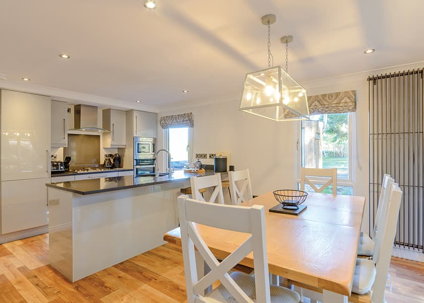 Beech Platinum Stars - Kielder Waterside, Kielder Water and Forest Park