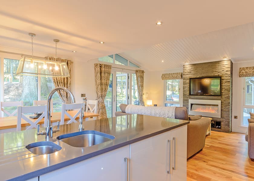 Beech Platinum Stars - Kielder Waterside, Kielder Water and Forest Park