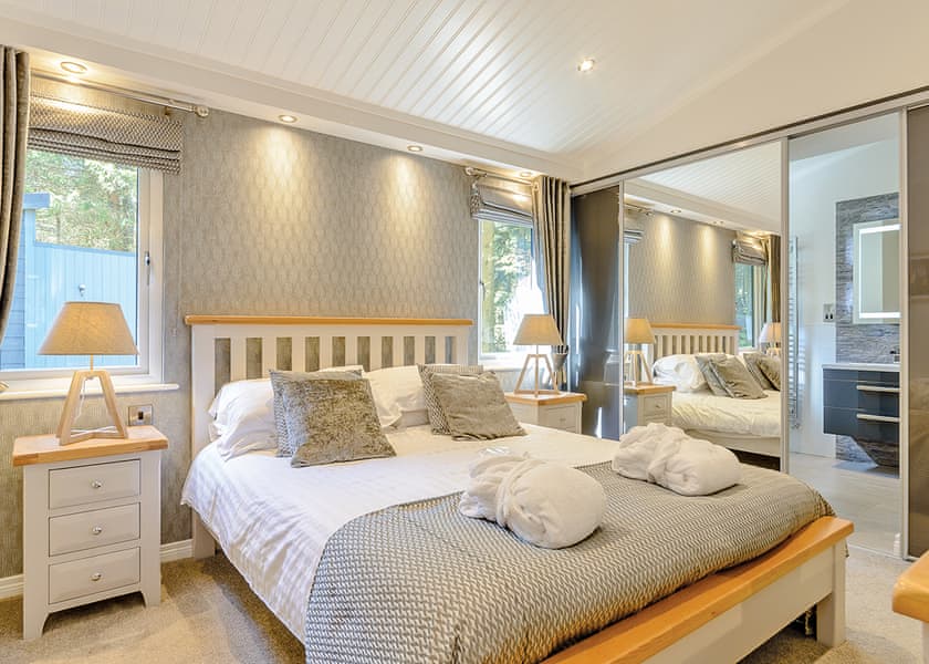 Beech Platinum Stars - Kielder Waterside, Kielder Water and Forest Park