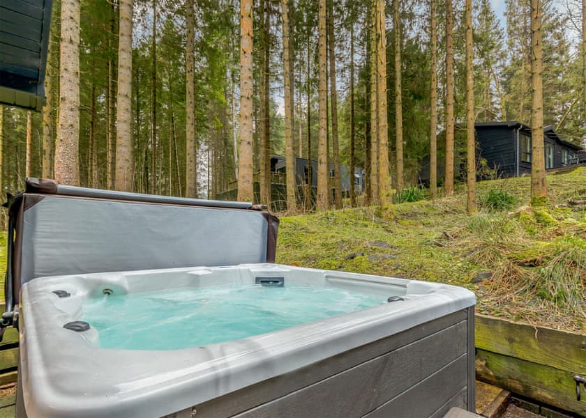 Typical | Willow Premier Spa (Pet) - Kielder Waterside, Kielder Water and Forest Park