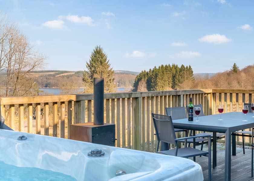 Willow Platinum BBQ (Pet) - Kielder Waterside, Kielder Water and Forest Park