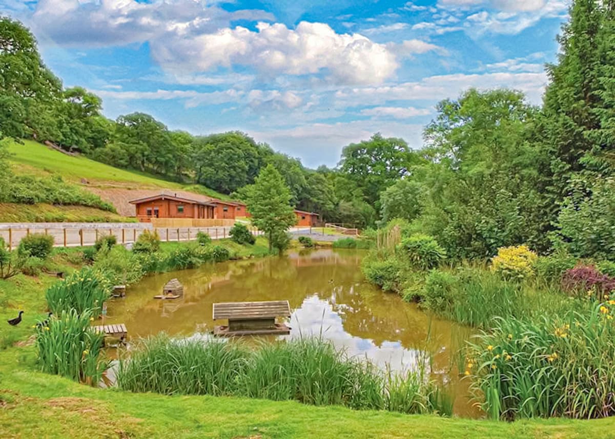 Kingsford Farm Lodges - Holiday Lodge in South West England - Image 2
