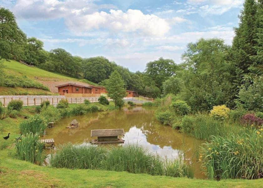 The park setting | Kingsford Farm Lodges, Longdown, Exeter