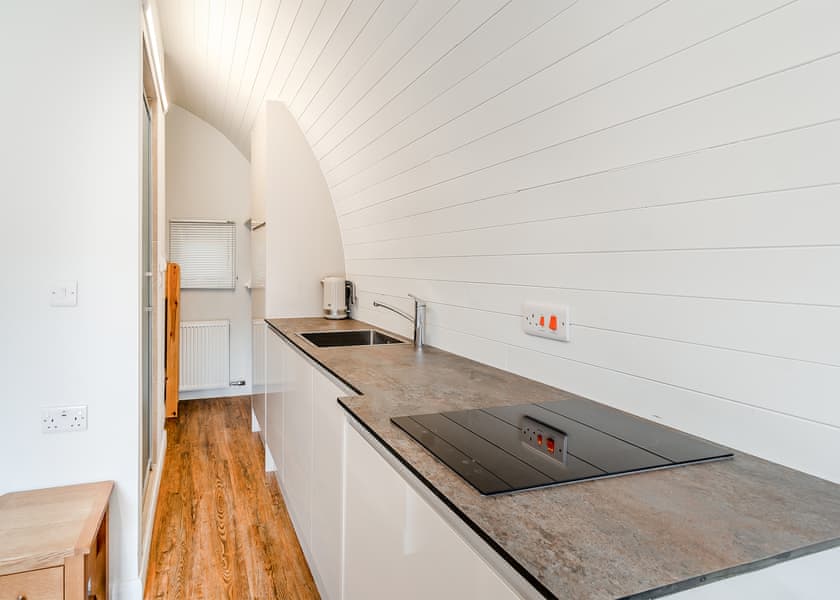 Lakeside Micro Lodge Pet - Killerby Old Hall, Scarborough