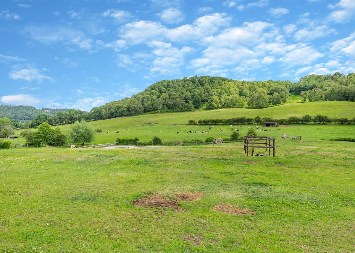 Kitty's View Country Lodges - Holiday lodge in North West England - Image 5
