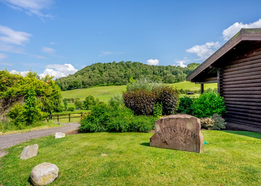 The Paw Pad - Kitty’s View Country Lodges, Broxton, Nr Chester
