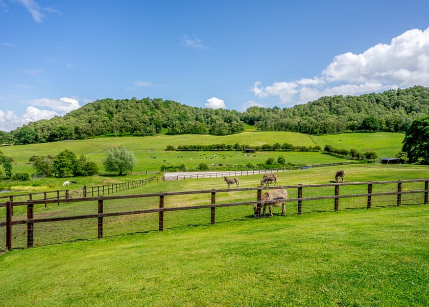 The Paw Pad - Kitty’s View Country Lodges, Broxton, Nr Chester