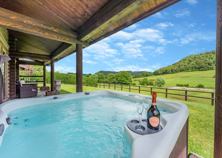 Two Hoots - Kitty’s View Country Lodges, Broxton, Nr Chester