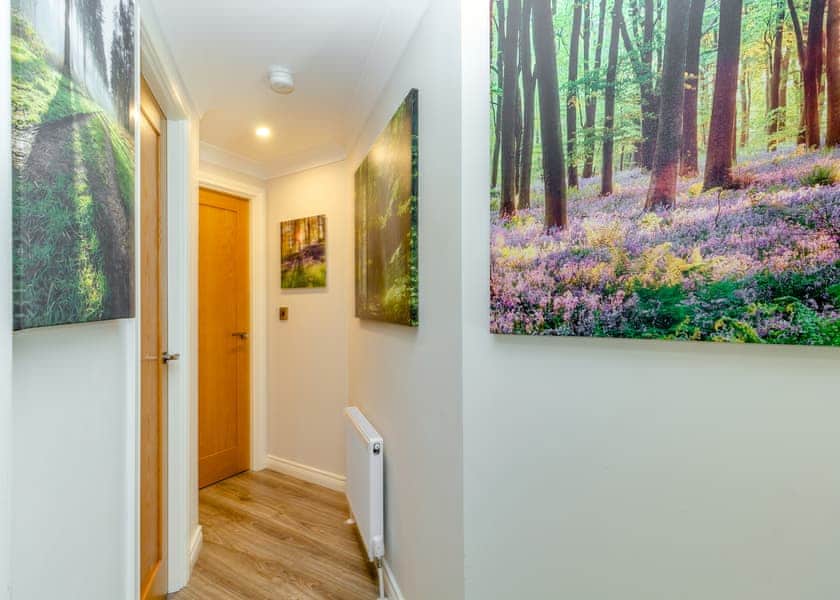 Luxury Lodge 1 - Ladera Retreat Lodges, Eaton, Congleton