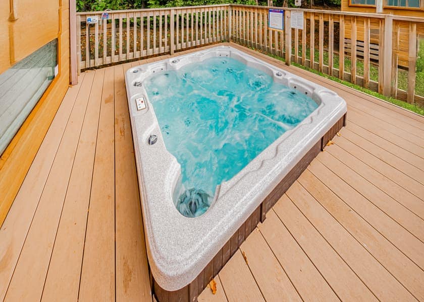 Silver Birch Plus - Lady’s Mile Holiday Park, Dawlish