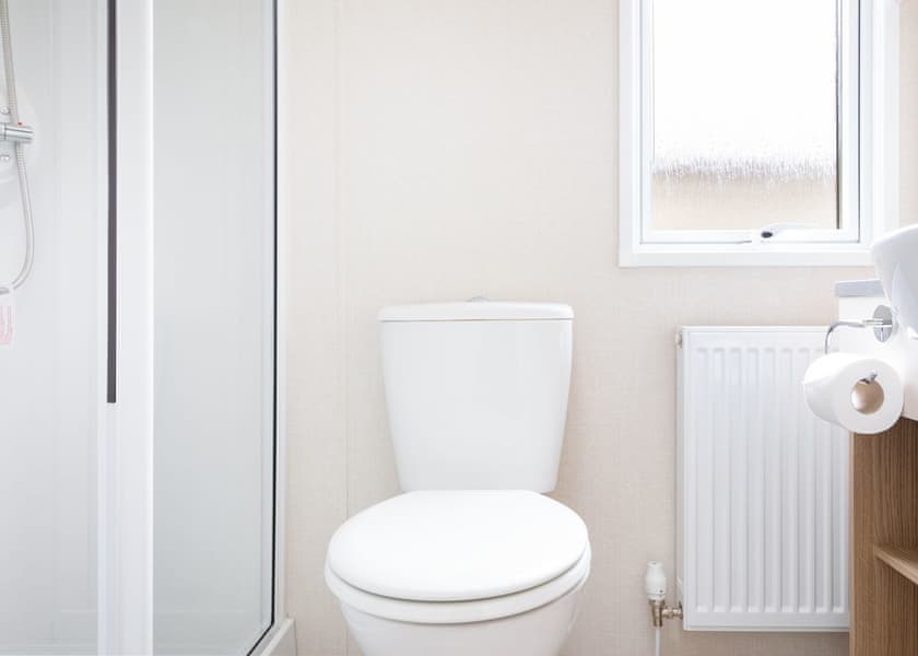 Ivy - Lady’s Mile Holiday Park, Dawlish