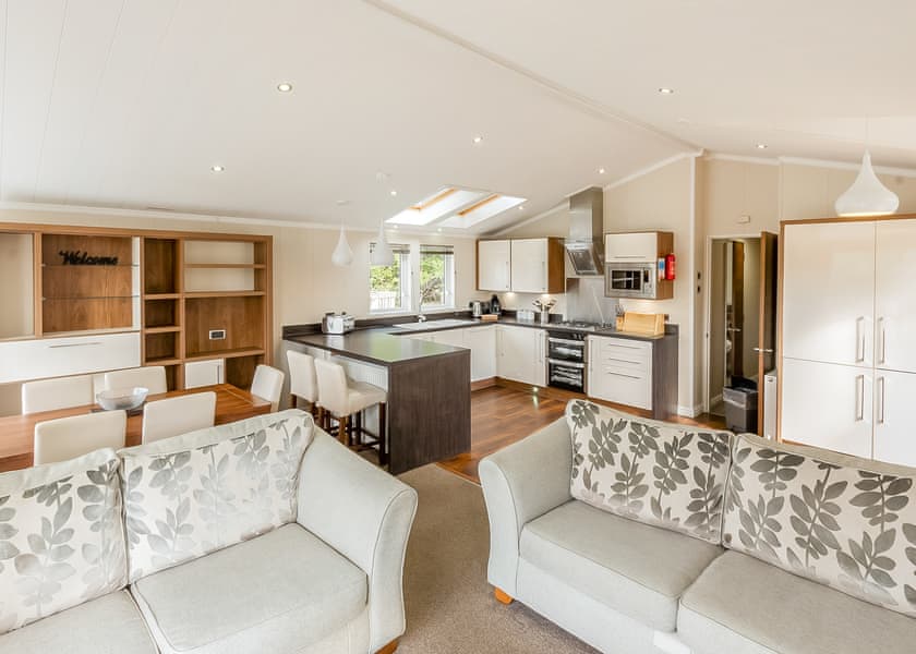 Silver Birch (Pet) - Lady’s Mile Holiday Park, Dawlish