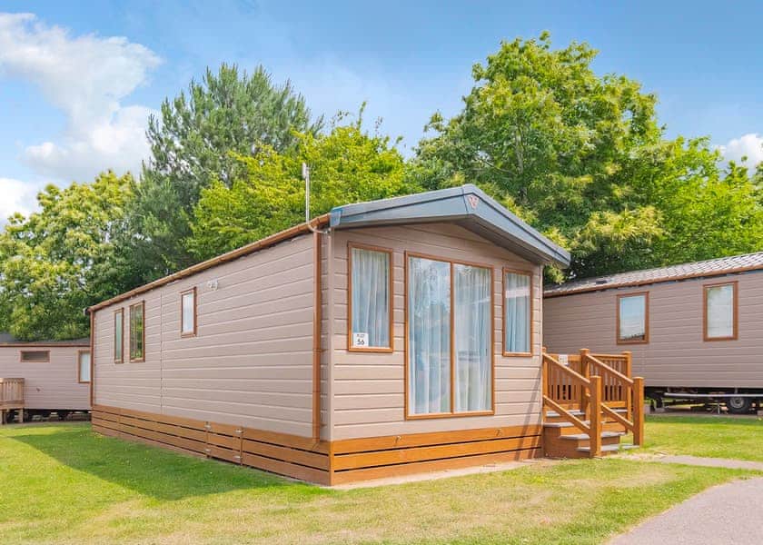 Chestnut Premier - Lady’s Mile Holiday Park, Dawlish