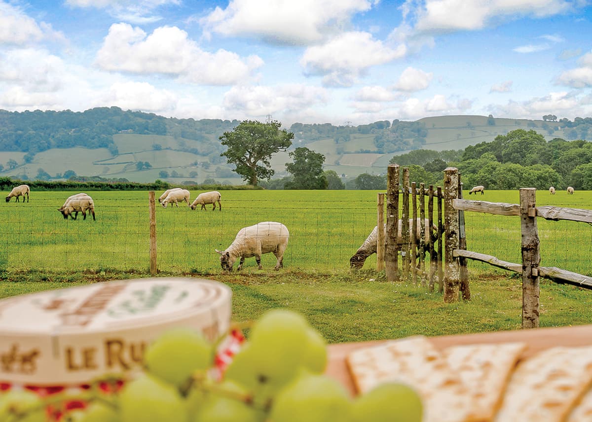Larkshayes Cottages - Holiday lodge in South West England - Image 2