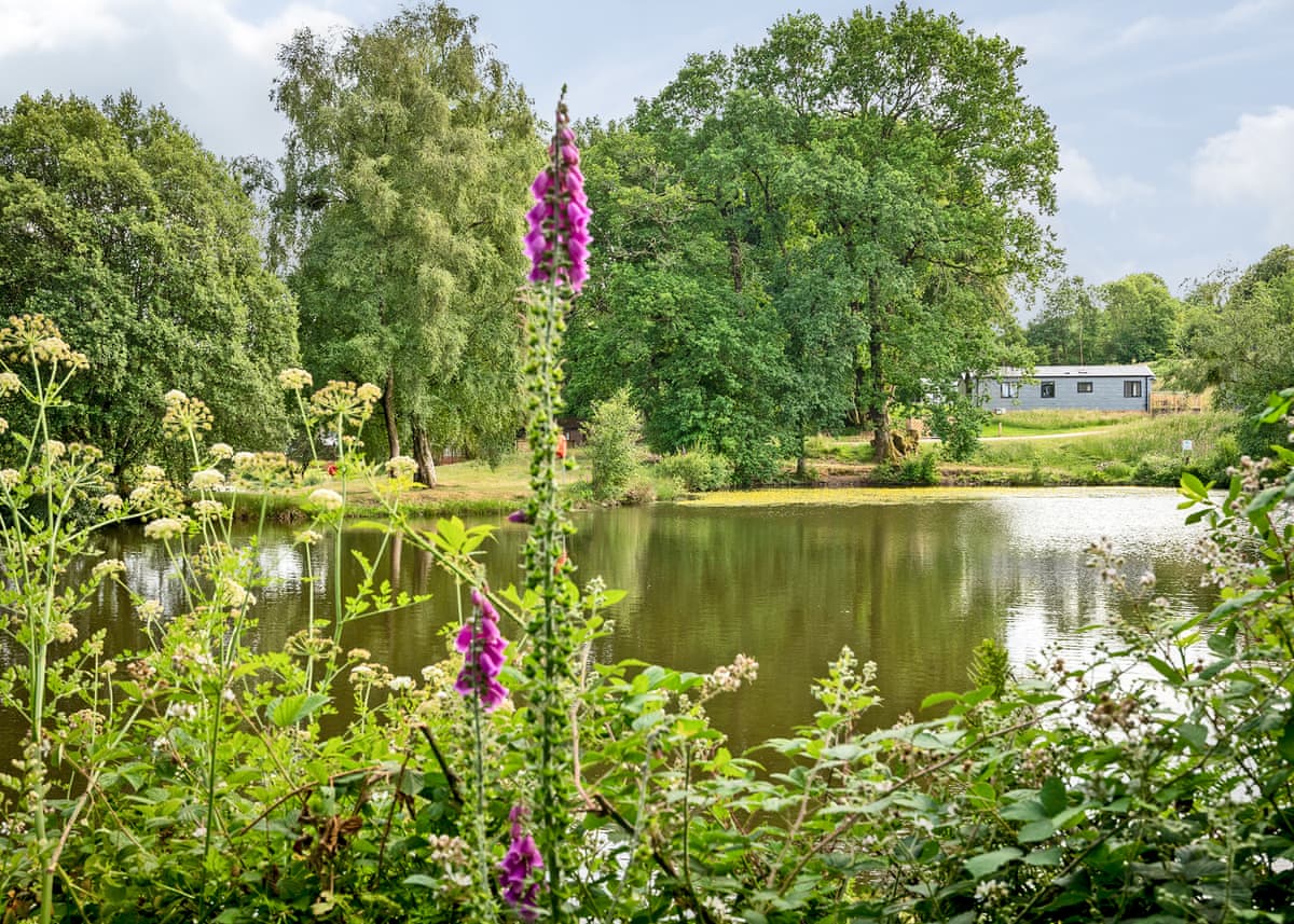 Lakeview Manor Lodges - Holiday Lodge in South West England - Image 2