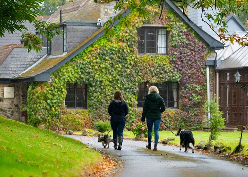 Lakeview Manor Lodges, Dunkeswell, Honiton