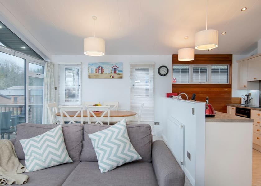 Lake View 2 bedroom lodge with hot tub (sleeps 4) - Lakeview Manor Lodges, Dunkeswell, Honiton