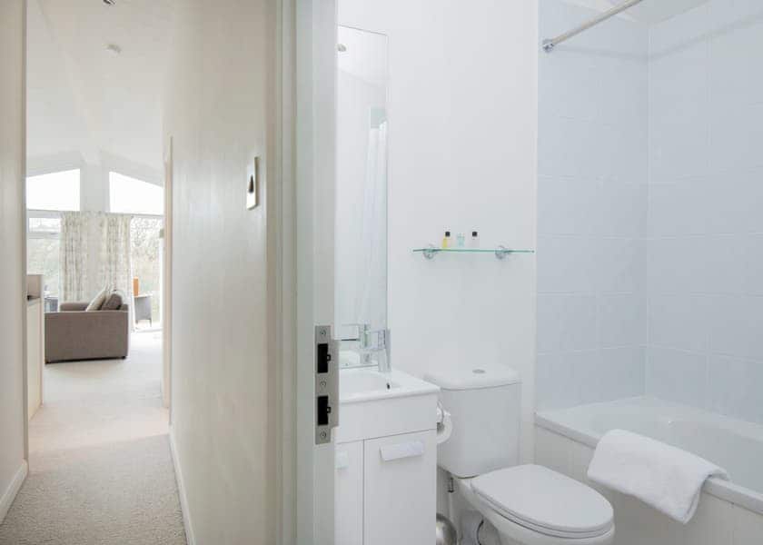 Lake View 3 bedroom lodge with hot tub (sleeps 6) - Lakeview Manor Lodges, Dunkeswell, Honiton