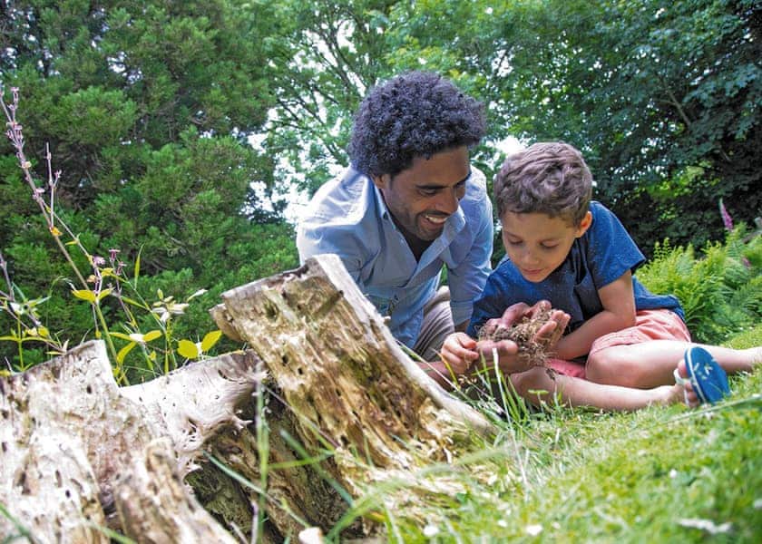 Bug hunting | Leycroft Valley, Perranporth