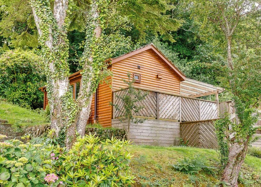 Carne Cabin Premier | Droskyn Spa (Pet) 1.0, Mayflower Caravan - Leycroft Valle, PerranporthStoke