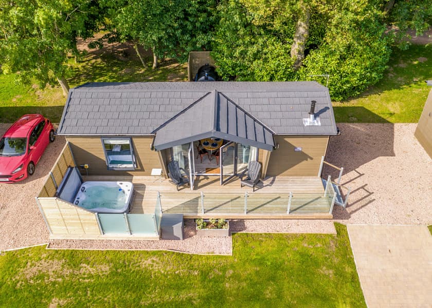 The Thistle - Letham Feus Park, Leven