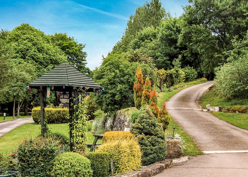 The park setting