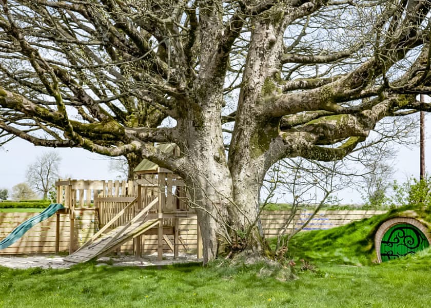 Maesbury Den, Radstock