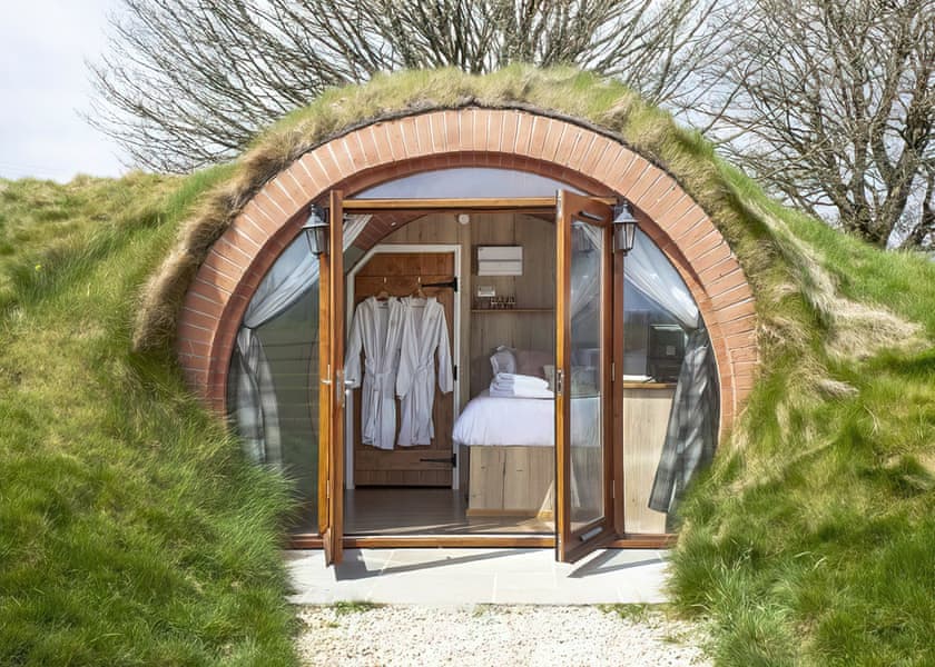 Poppy - Maesbury Den, Radstock