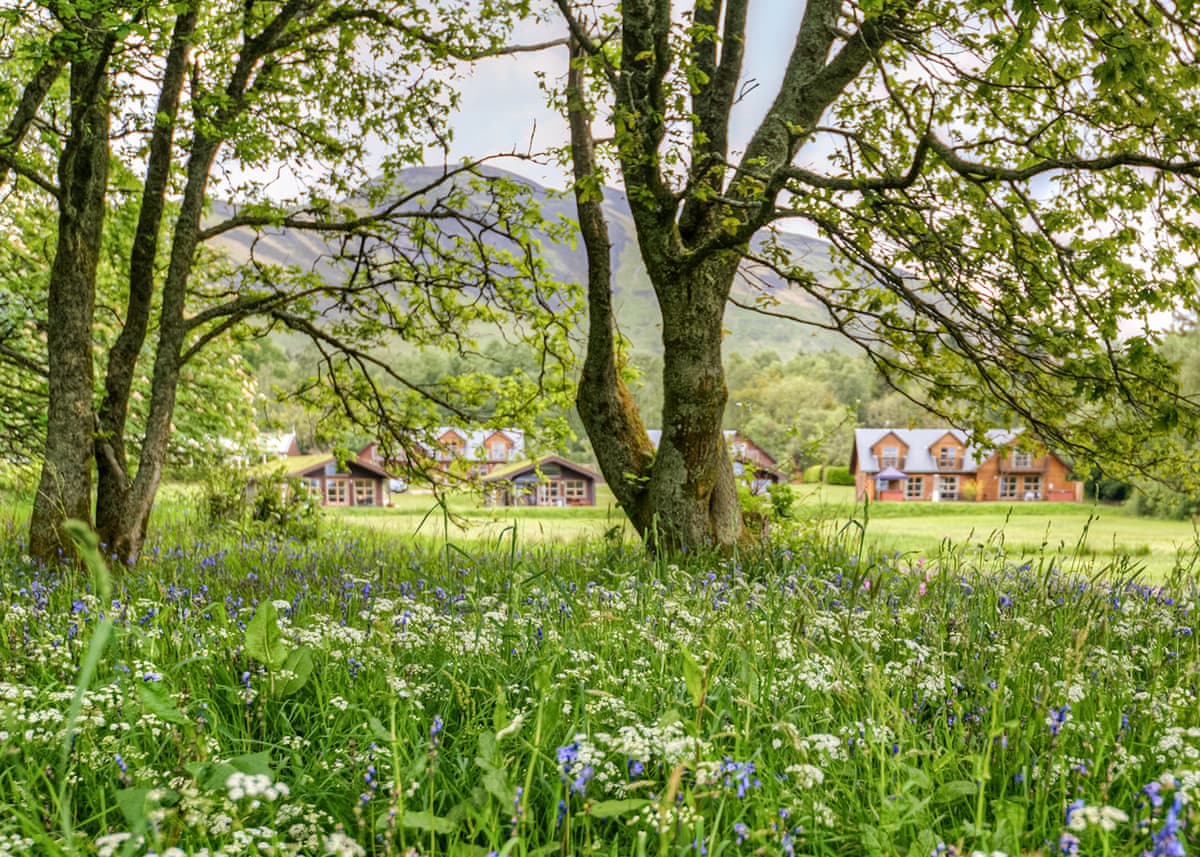 Loch Lomond Waterfront Luxury Lodges - Holiday lodge in Central Scotland - Image 3