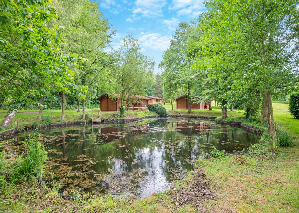 Woodside Lodges Country Park - Holiday lodge in Central England - Image 3