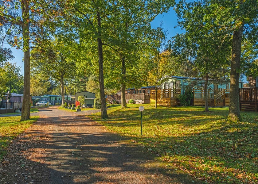 2 bedroom Gold Caravan Pet Friendly - Lowther Park, Eamont Bridge