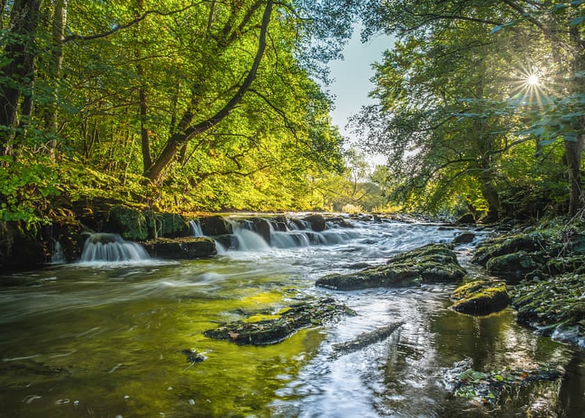 Lowther Park, Eamont Bridge