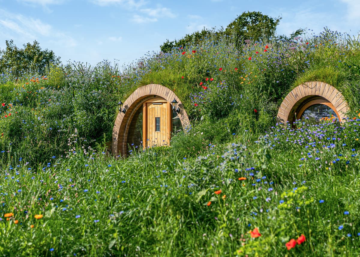 Luckington Burrows - Holiday lodge in South West England - Image 5