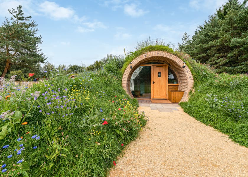 Hive and Spruce Burrow - Luckington Burrows, Frome