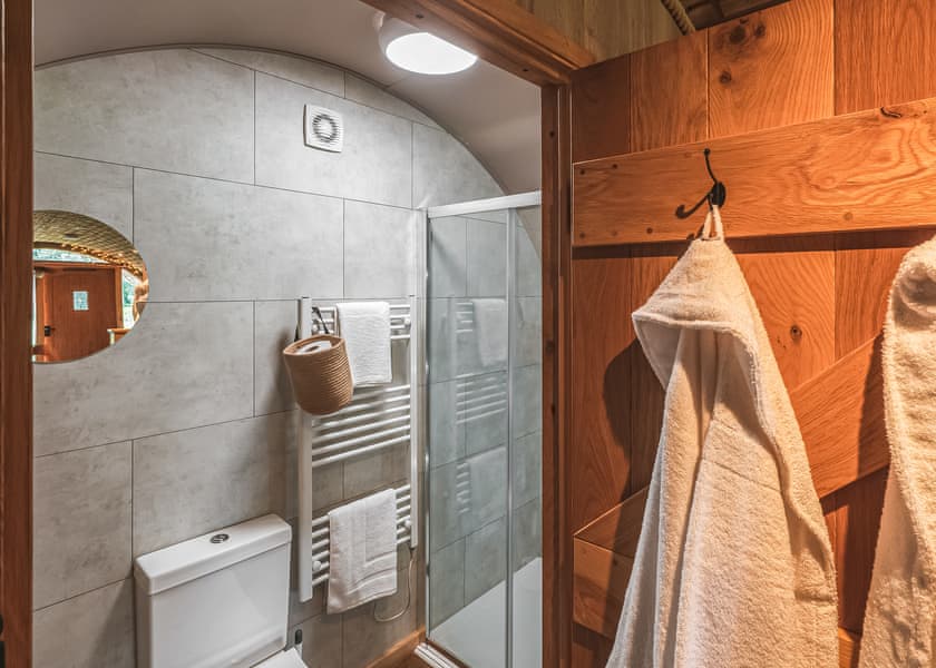 Hive and Spruce Burrow - Luckington Burrows, Frome