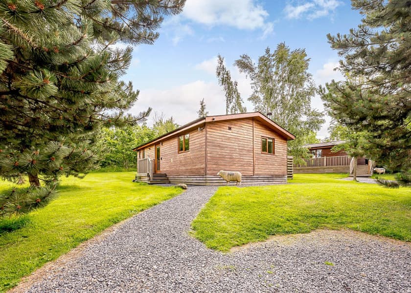 Masham Lodge - Meadow’s End Lodges, Cartmel