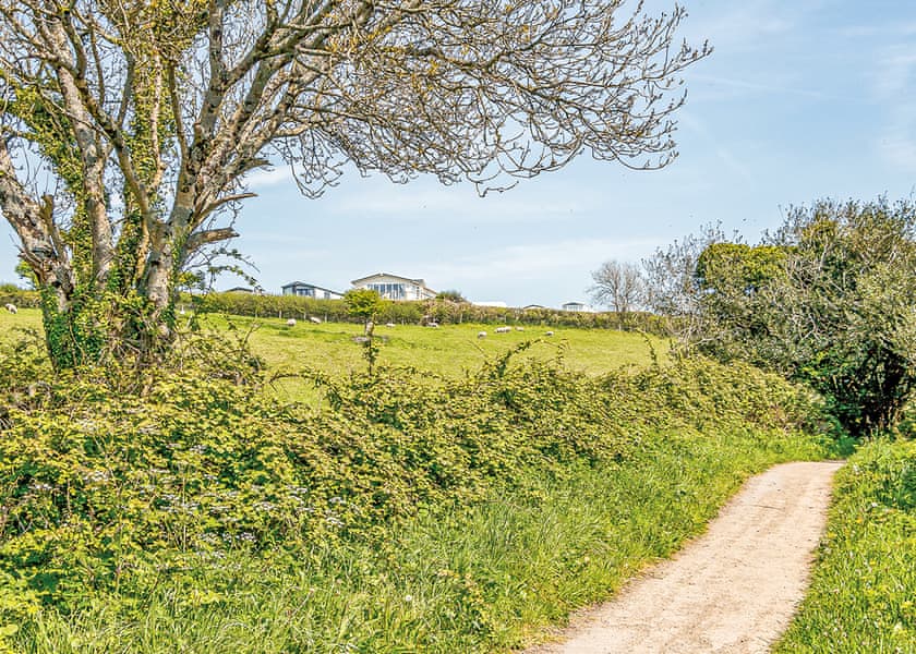 The park setting | Meadow House Holiday Park, Summerhill, Amroth