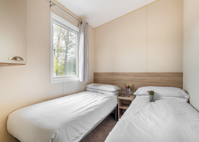 Beech - Mendip View at Wookey Hole, Wookey Hole, Wells