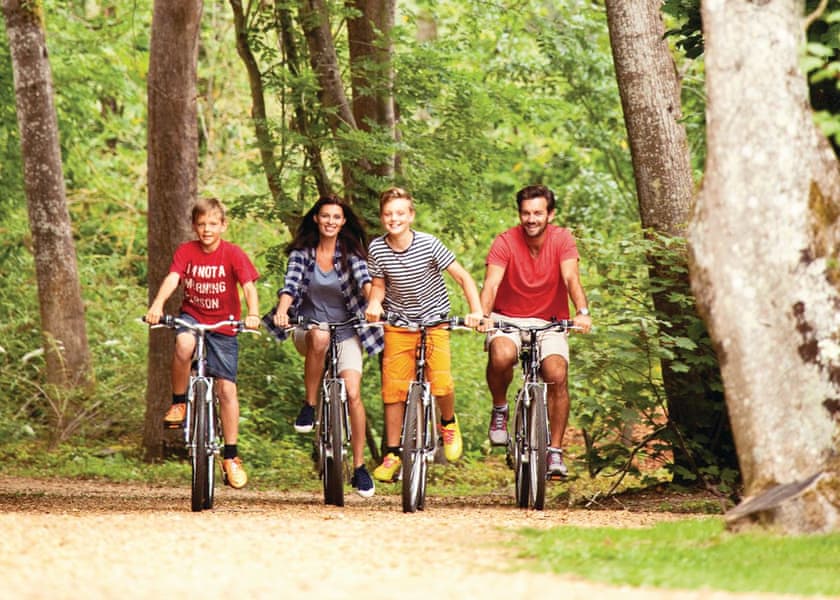 Merley Woodland Park, Wimborne, Nr Bournemouth