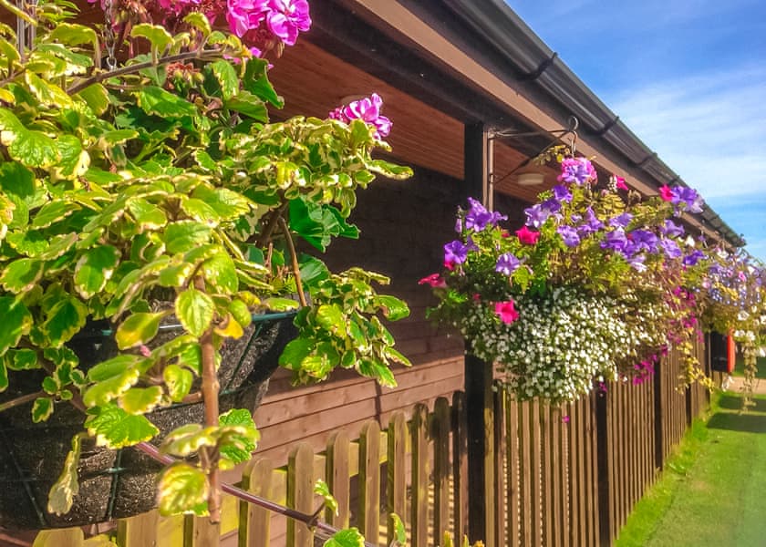 Monkey Tree Holiday Park, Newquay