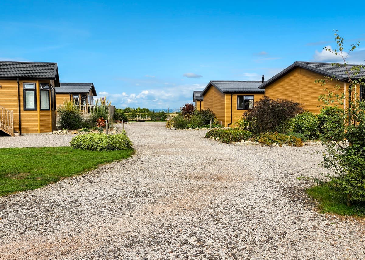 New Oaks Farm Lodges - Lodge in Somerset