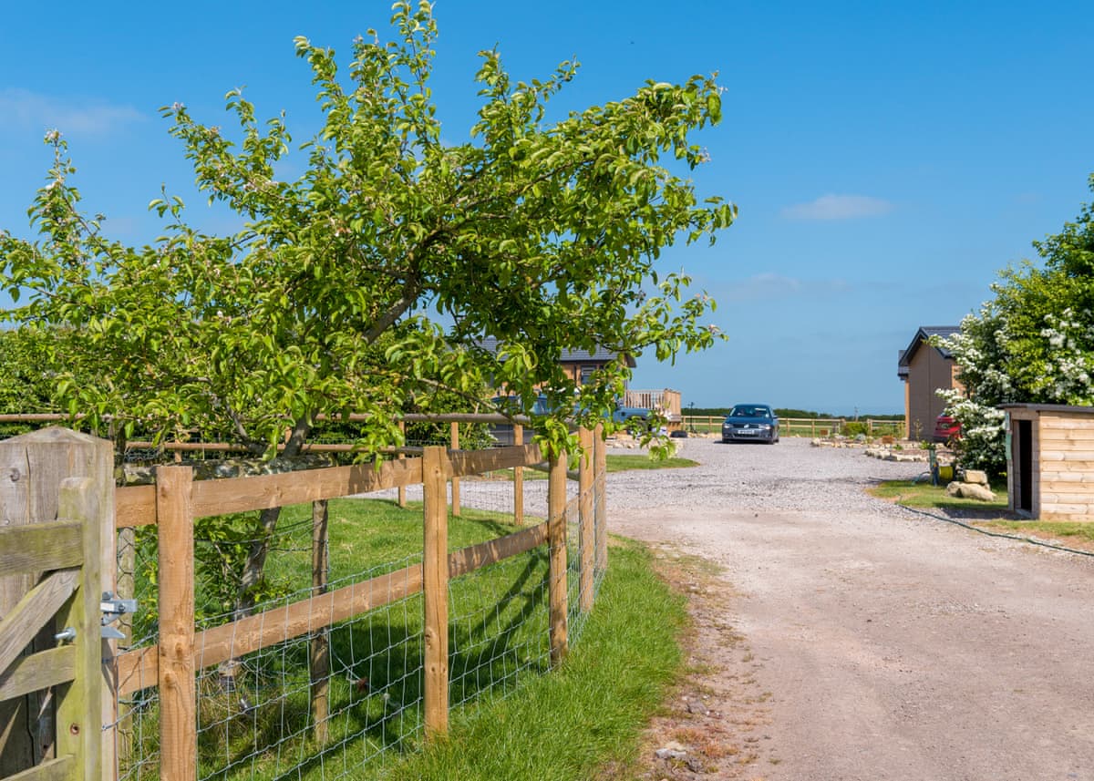 New Oaks Farm Lodges - Holiday Lodge in South West England - Image 5
