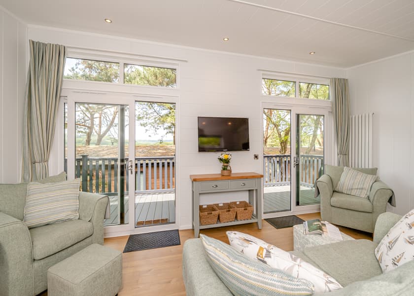 Ammonite - Newlands Holiday Park, Charmouth