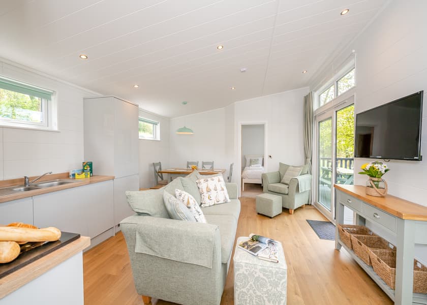 Ammonite - Newlands Holiday Park, Charmouth