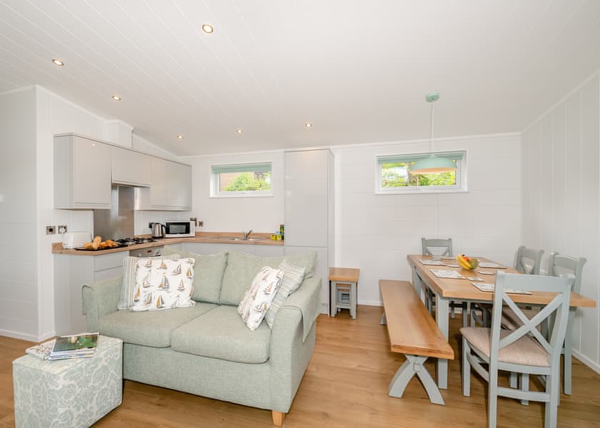 Ammonite - Newlands Holiday Park, Charmouth