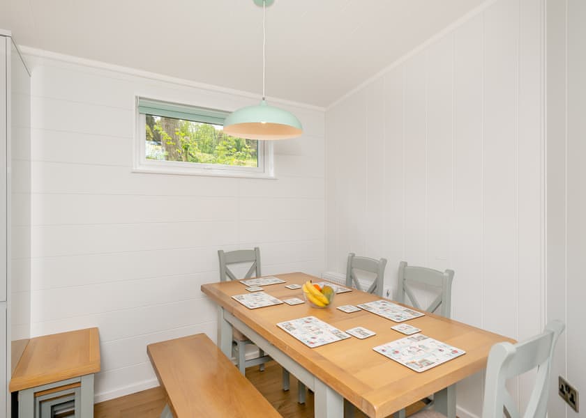 Ammonite - Newlands Holiday Park, Charmouth