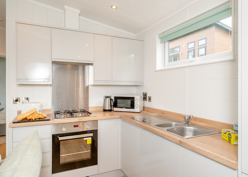 Ammonite - Newlands Holiday Park, Charmouth