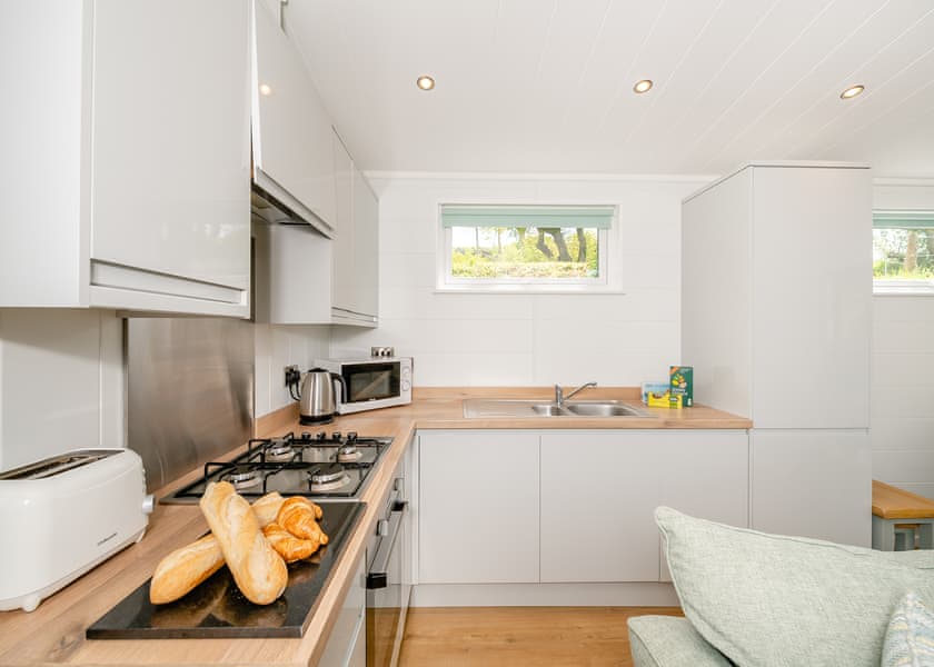 Ammonite - Newlands Holiday Park, Charmouth